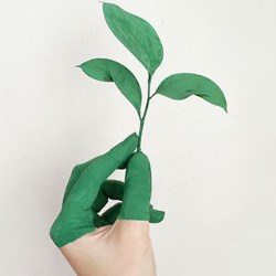 Natural products and sustainable philosophy for the beauty world