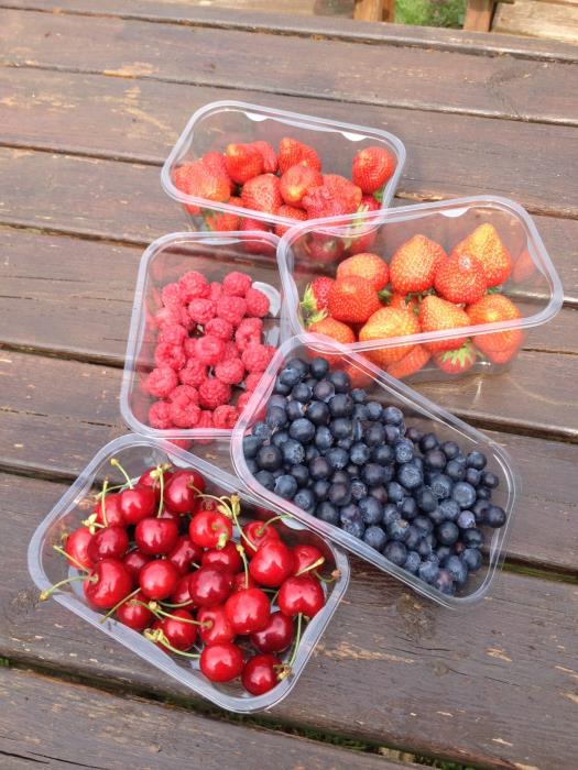 Holfeld investment results in premier soft fruit packaging portfolio