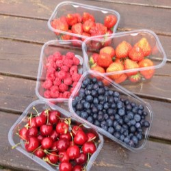 Holfeld investment results in premier soft fruit packaging portfolio