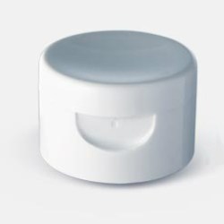 Flip top cap