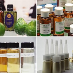 Innovative Cosmetic Ingredients Presentations at Cosme Tech 2018