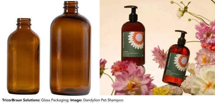Mindfulness and connection blog series part 6: Pet health and wellness inspiring the latest pet care innovations
