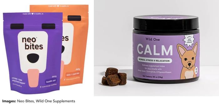 Mindfulness and connection blog series part 6: Pet health and wellness inspiring the latest pet care innovations