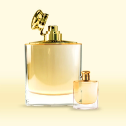 THE RALPH LAUREN FACTICE