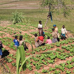 New projects for rural and socio-cultural development in Madagascar