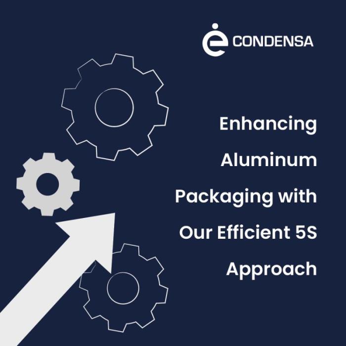 Condensa 5S Standards Guarantees Accuracy and Dependability