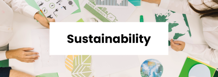Corporate Sustainability: What Do Consumers Really Value?