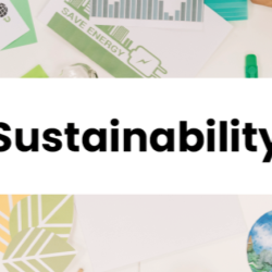 Corporate Sustainability: What Do Consumers Really Value?