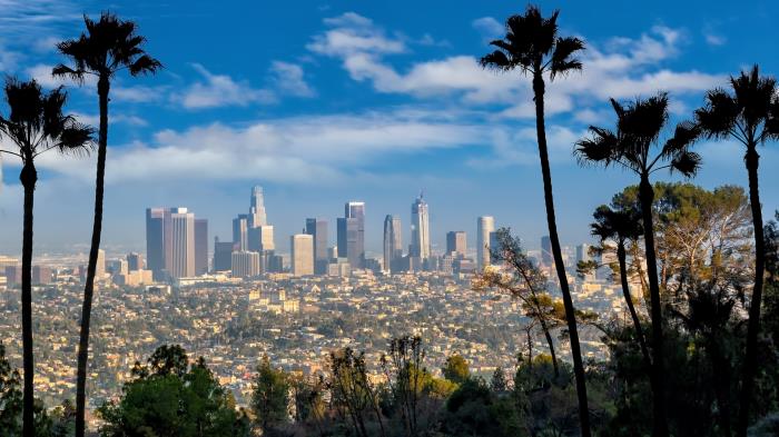 wwp beauty West Coast Office