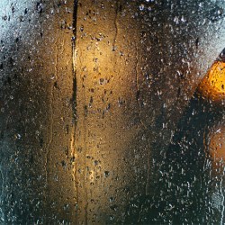 Making Waves: Waterless Beauty