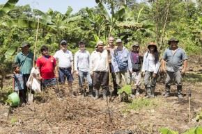 Reforestation Project (Colombia 2015-2017)