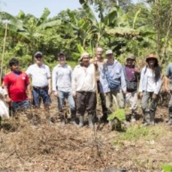 Reforestation Project (Colombia 2015-2017)