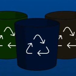 
                                                            
                                                        
                                                        Designing for Recyclability When Using Dark Colorants