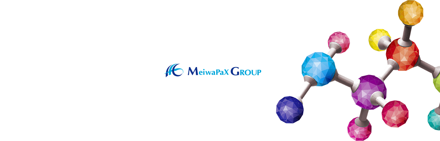 MeiwaPax Group